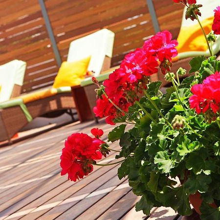 Apartments Diana - New Heated Pool Bol Esterno foto
