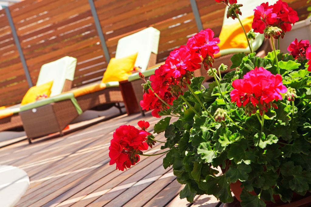 Apartments Diana - New Heated Pool Bol Esterno foto